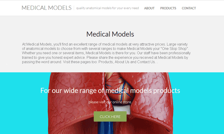 Medical Models